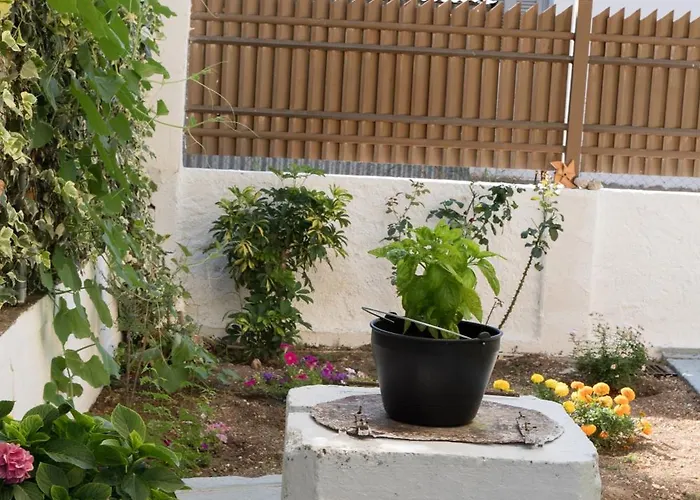 Tatil Evi Rodi House Lygia (Lefkada)