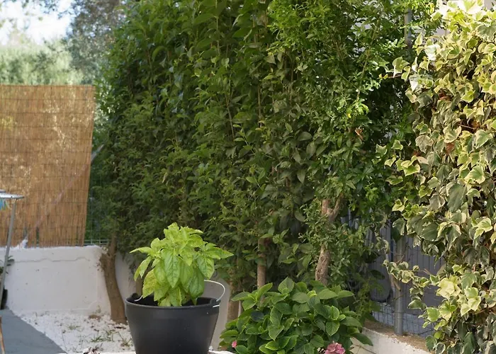 Rodi House Tatil Evi *